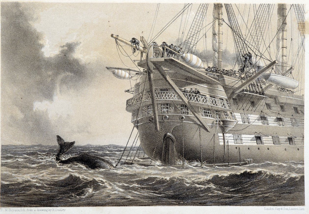 Laying the Atlantic telegraph cable, a whale around the boat by Unknown artist