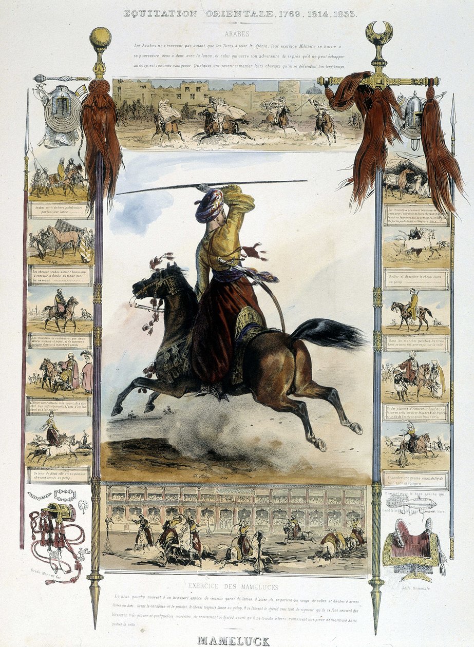 Mameluck (Eastern Horse Riding) - in 