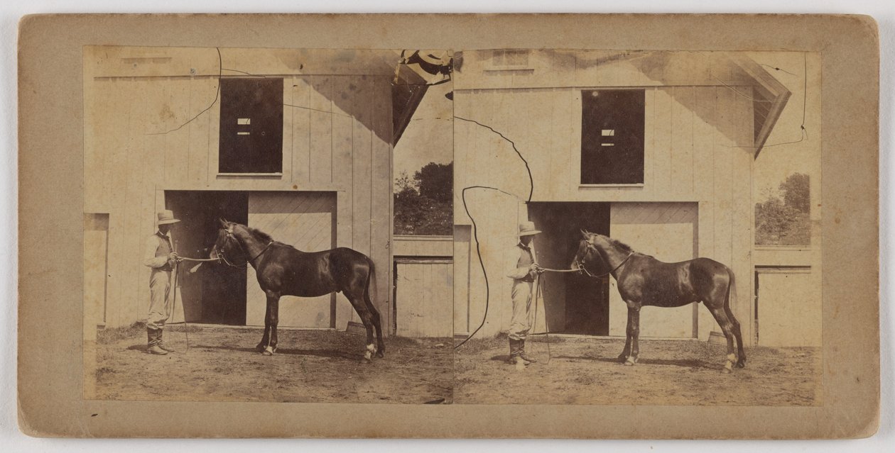 Man Holding Horse by Bridle by Unknown artist