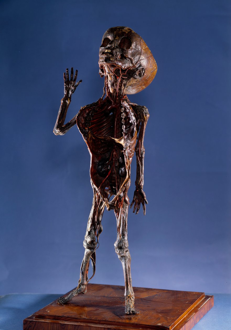 Medicine: Peel Figurine by Unknown artist
