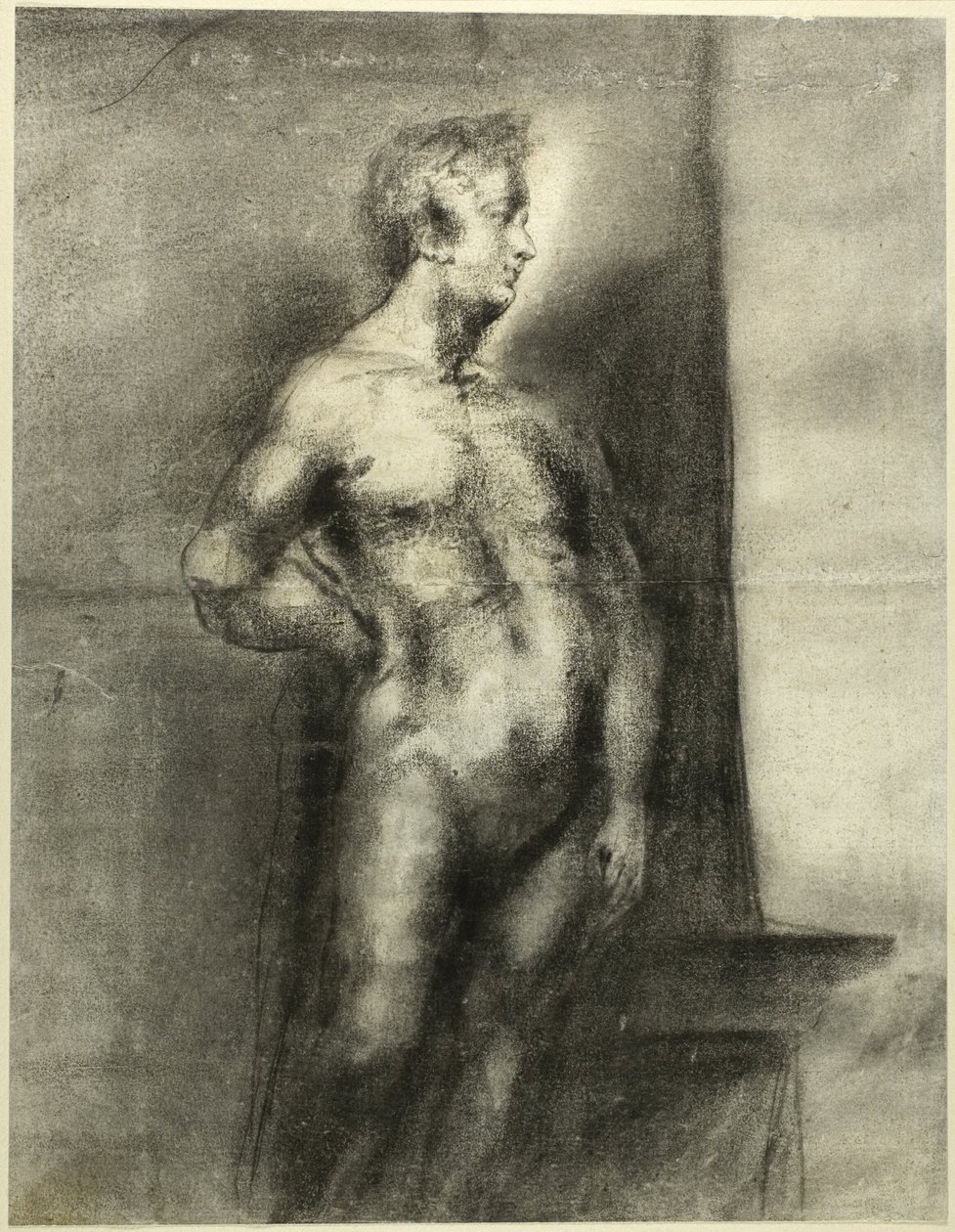 Nude Male Figure by Unknown artist