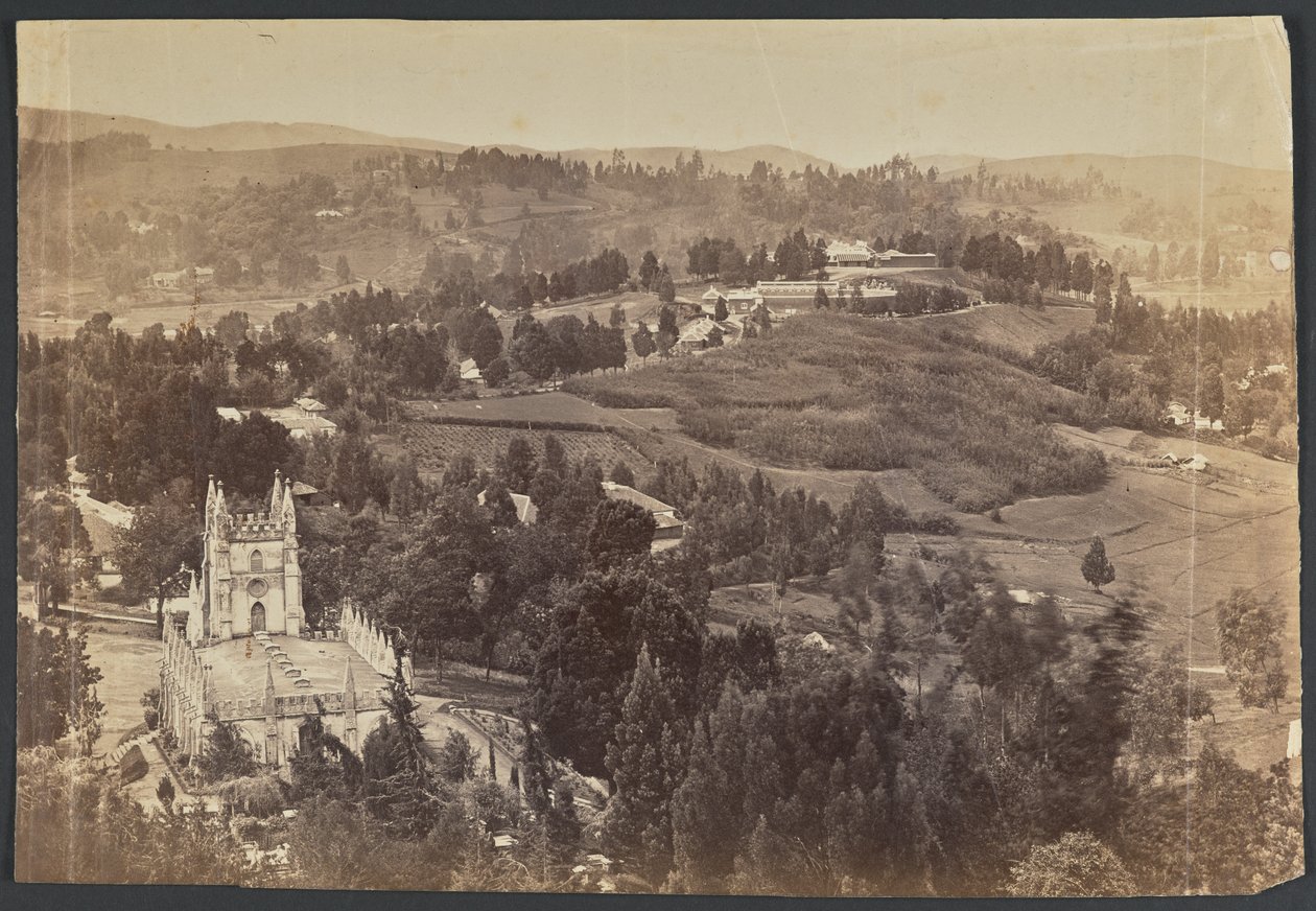 Ootacamund. Nilgeris by Unknown artist