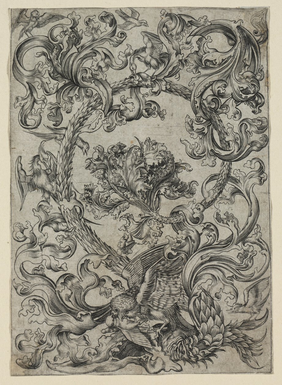 Ornamental Foliage, with an Owl and other Birds by Unknown artist
