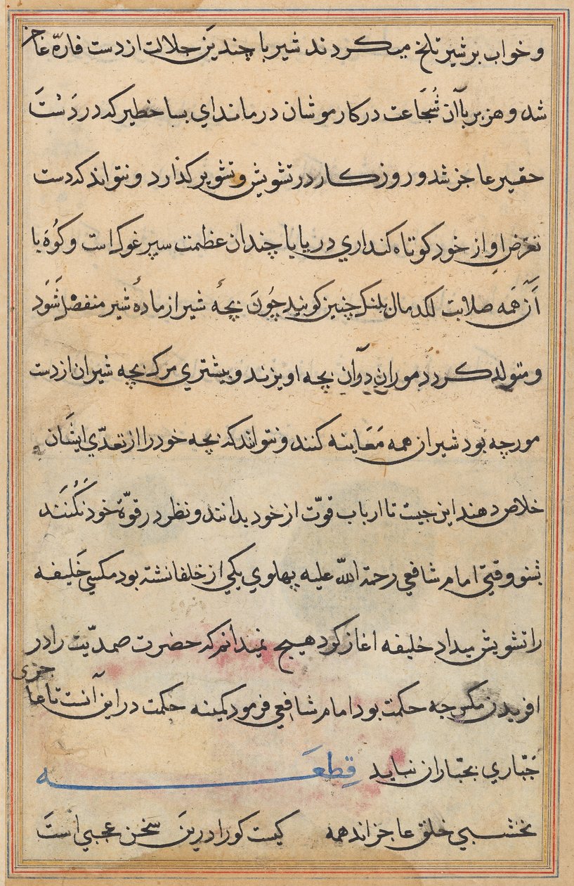 Page from Tales of a Parrot (Tuti-nama): text page by Unknown artist