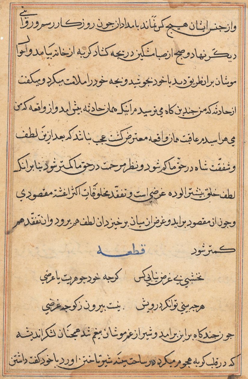 Page from Tales of a Parrot (Tuti-nama): text page by Unknown artist