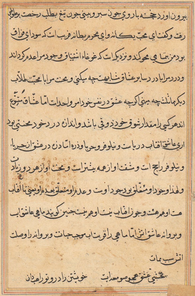 Page from Tales of a Parrot (Tuti-nama): text page by Unknown artist
