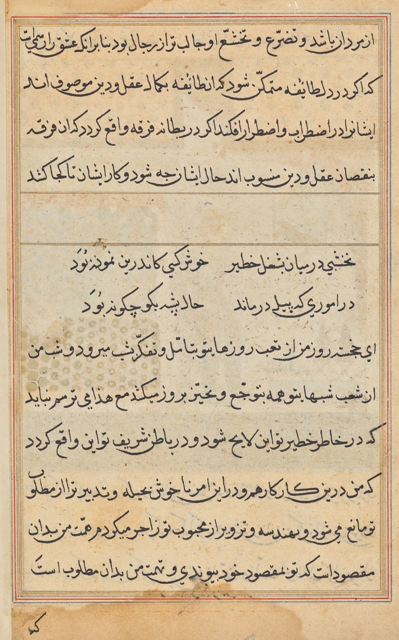 Page from Tales of a Parrot (Tuti-nama): text page by Unknown artist
