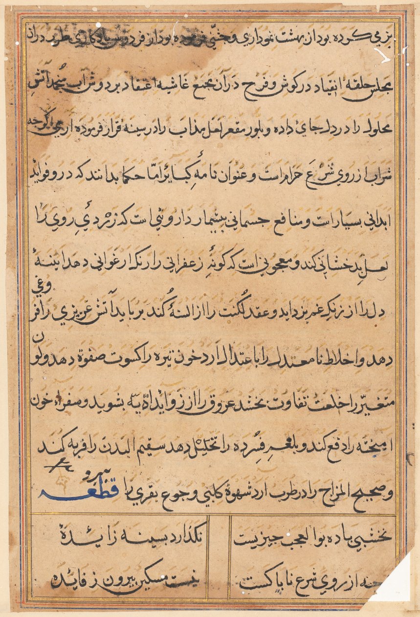 Page from Tales of a Parrot (Tuti-nama): text page by Unknown artist