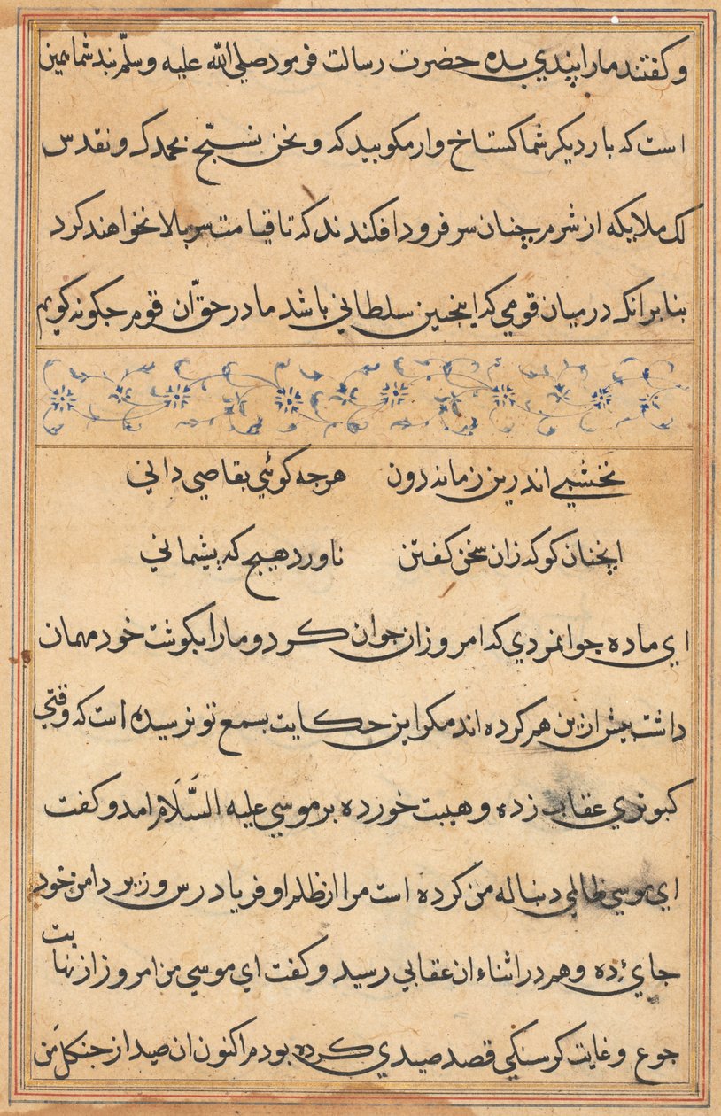 Page from Tales of a Parrot (Tuti-nama): text page by Unknown artist