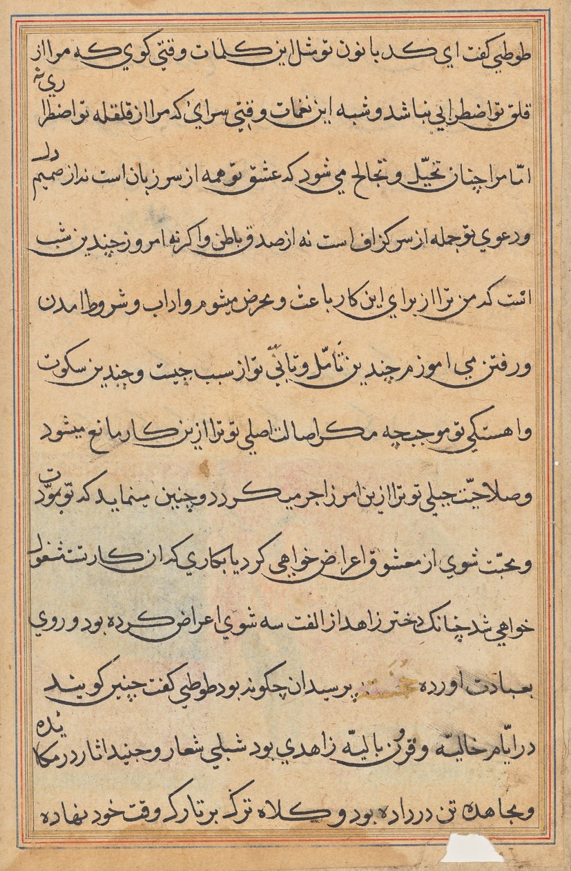 Page from Tales of a Parrot (Tuti-nama): text page by Unknown artist