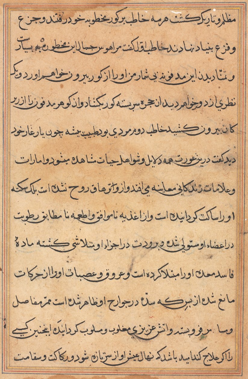 Page from Tales of a Parrot (Tuti-nama): text page by Unknown artist
