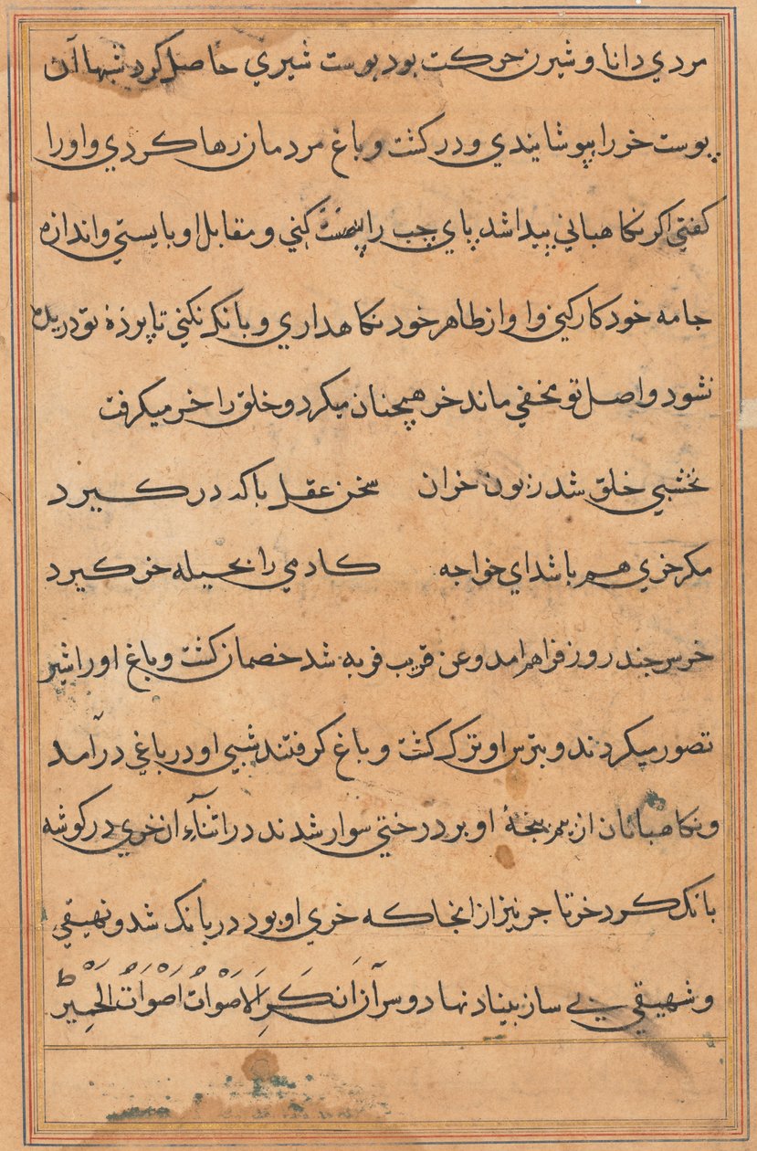 Page from Tales of a Parrot (Tuti-nama): text page by Unknown artist