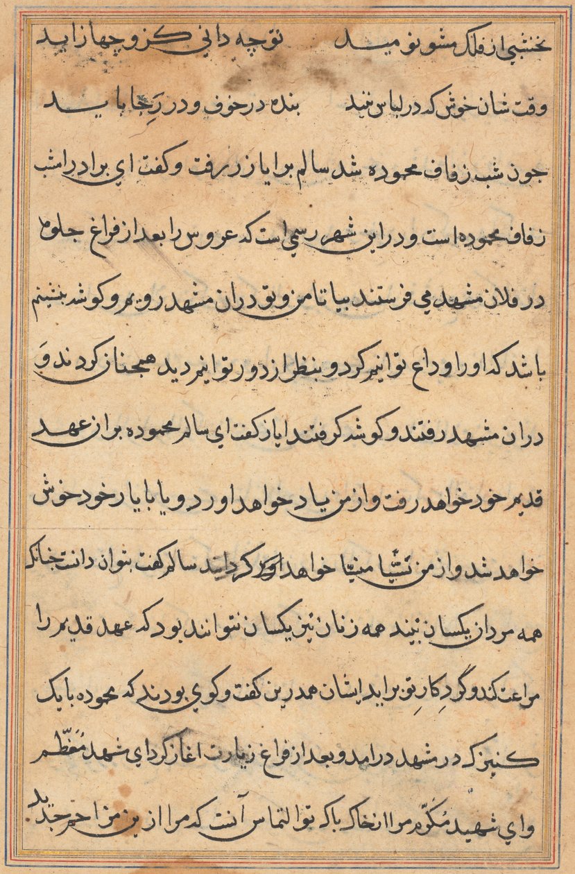 Page from Tales of a Parrot (Tuti-nama): text page by Unknown artist