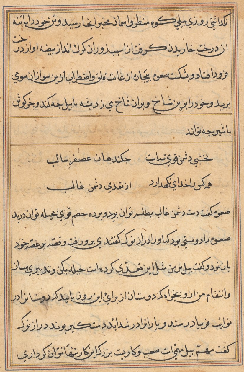 Page from Tales of a Parrot (Tuti-nama): text page by Unknown artist