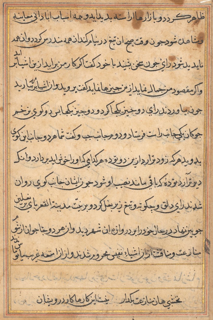 Page from Tales of a Parrot (Tuti-nama): text page by Unknown artist