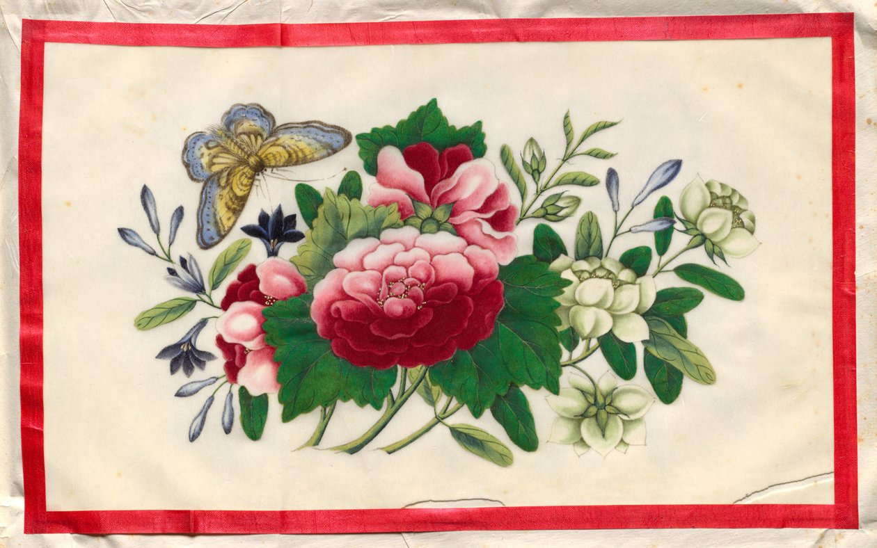 Painting Nine from Illustrated Book of Flowers and Butterflies by Unknown artist