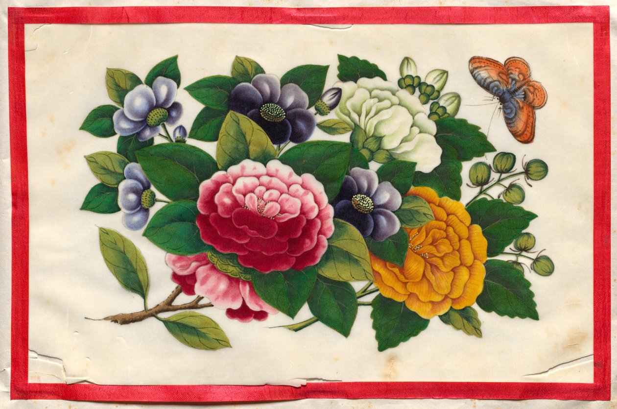 Painting Three from Illustrated Book of Flowers and Butterflies by Unknown artist