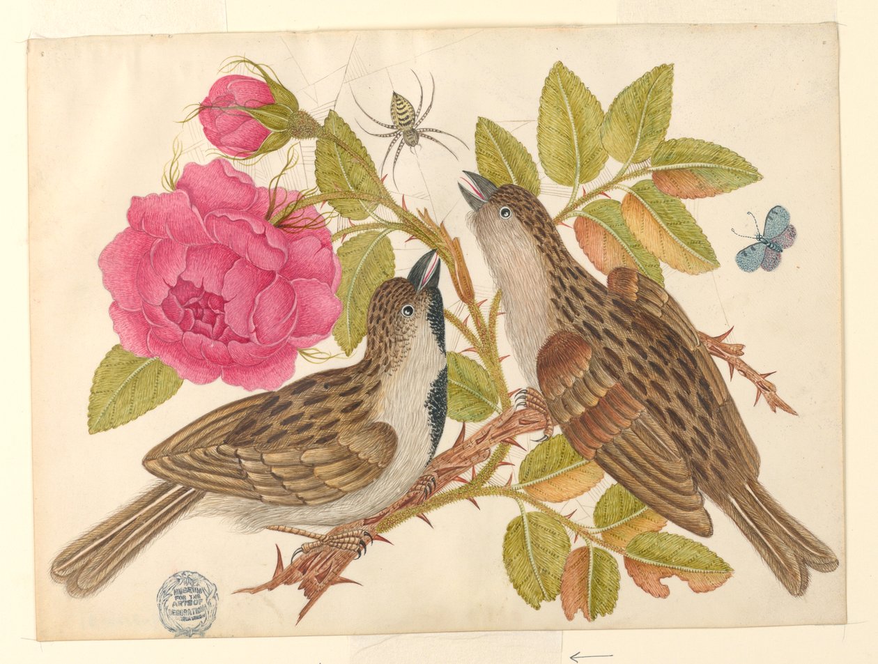 Pair of Brown Birds on Rose Stem with Butterfly and Spider by Unknown artist