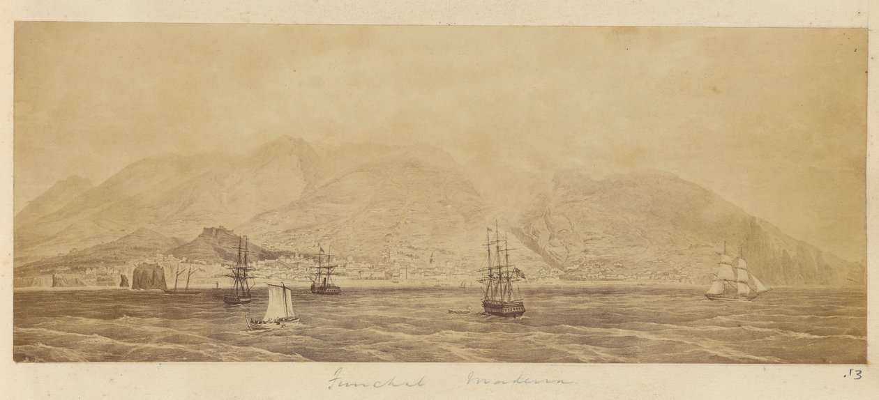 Panorama of the Port, Funchal, Madeira by Unknown artist