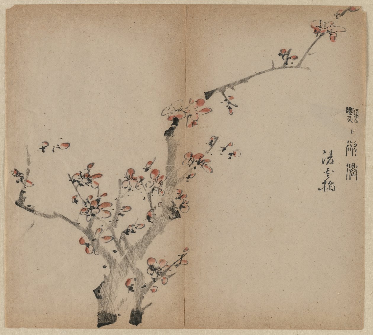 Peach Blossoms by Unknown artist