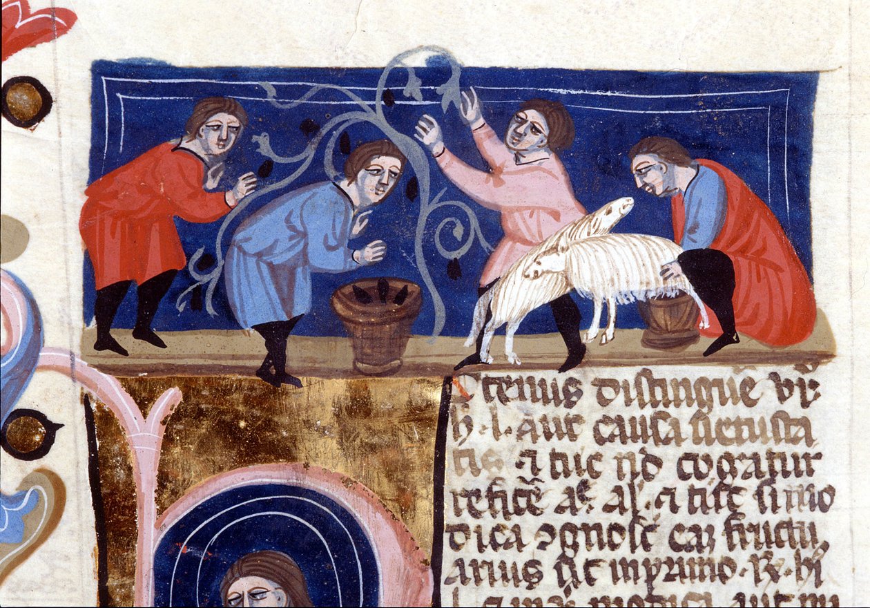 Picking fruit and milking sheep