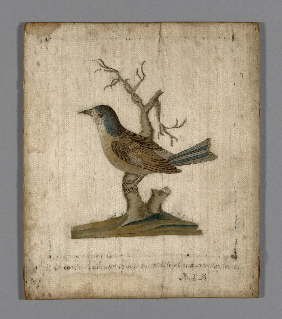 Picture of a Bird by Unknown artist