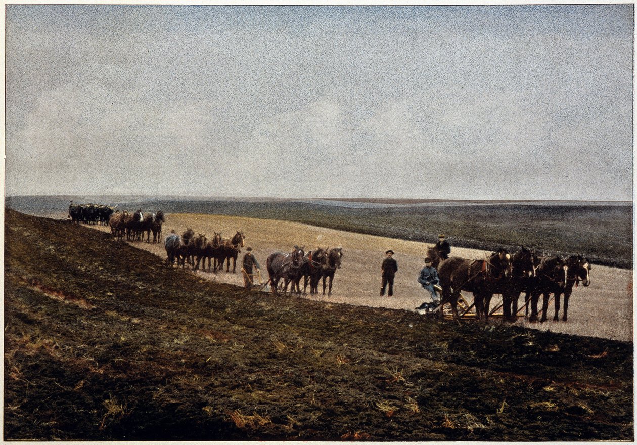Ploughing in the Manitoba Plains, Canada by Unknown artist
