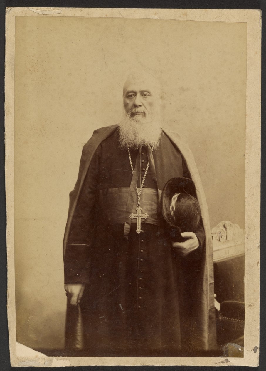 Portrait of Cardinal Charles Lavigerie by Unknown artist
