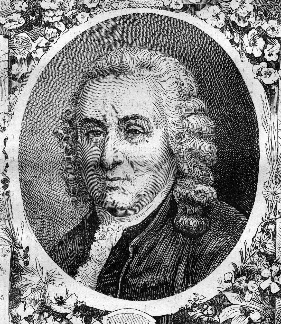 Portrait of Charles Linnaeus, Swedish naturalist. Engraving from 1878 by Unknown artist