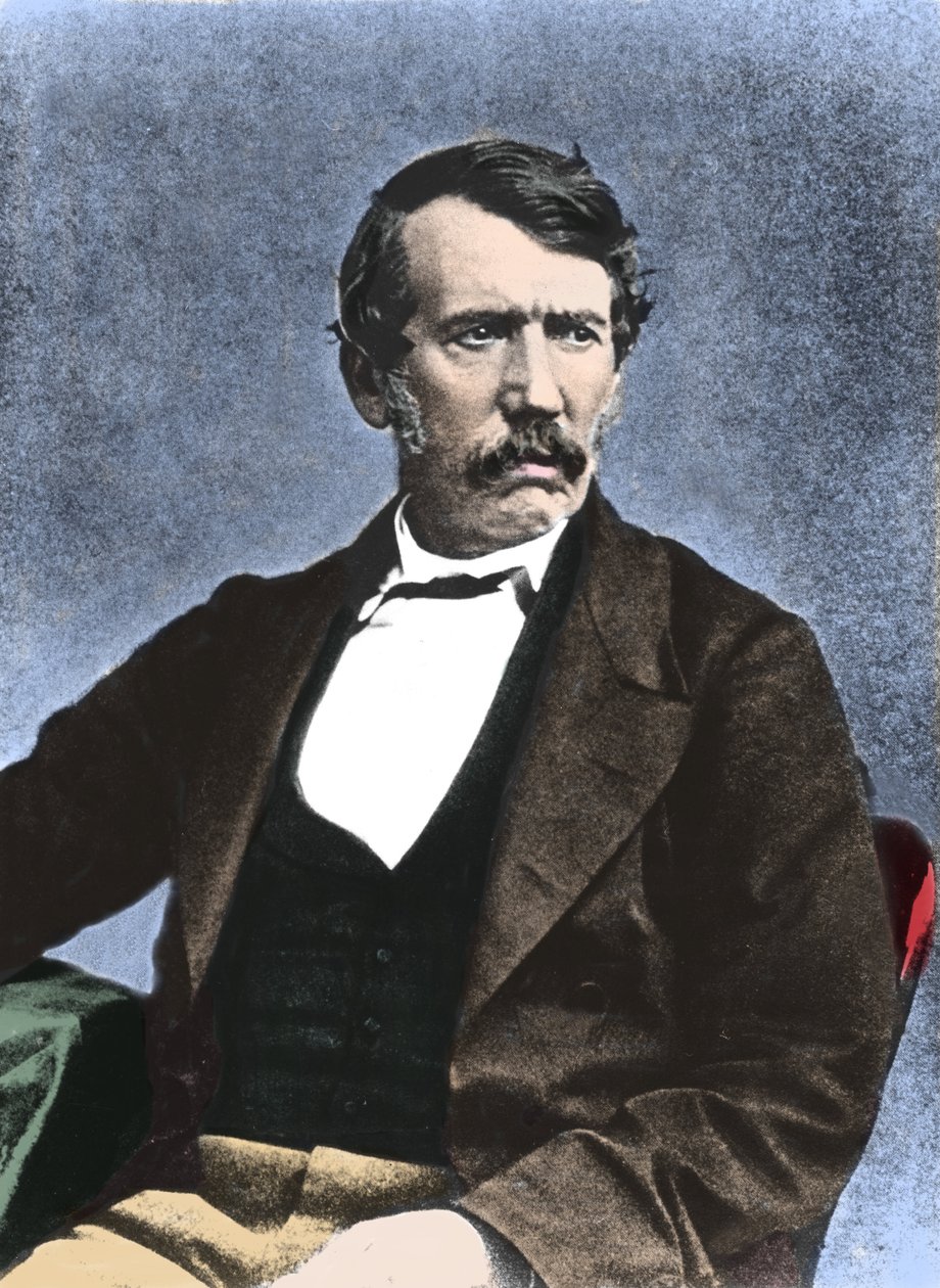 Portrait of David Livingstone, Scottish missionary and explorer by Unknown artist