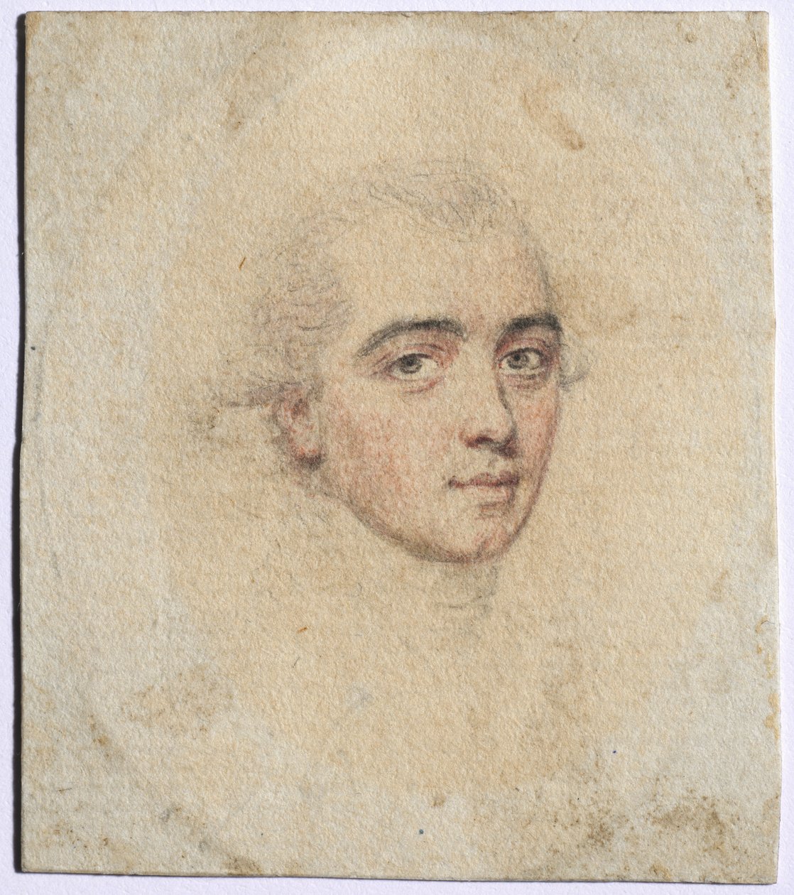 Portrait of M. de Viapre by Unknown artist