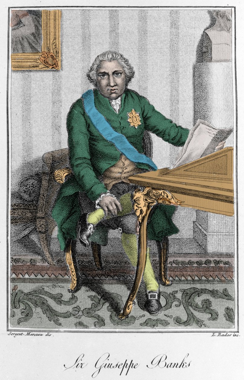 Portrait of Sir Joseph Banks (1743-1820), English Explorer and Naturalist by Unknown artist