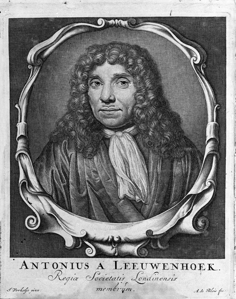 Portrait of the Dutch trader and scholar Antoine van Leeuwenhoek (1632-1723). Engraving from Investigatio Arcanorum 1722 by Unknown artist