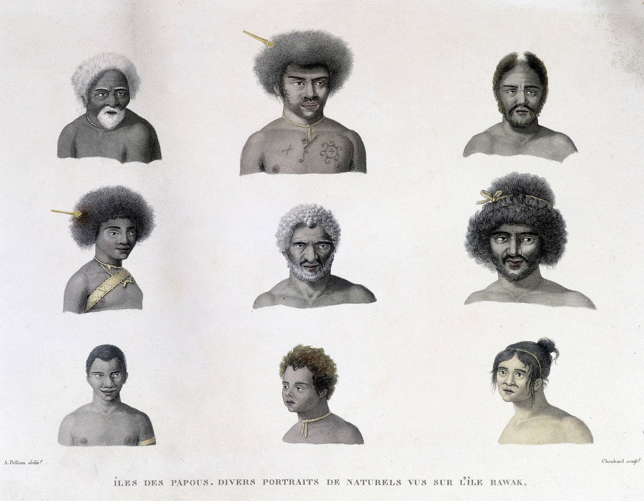 Portraits of the Papua from Rawak Island by Unknown artist