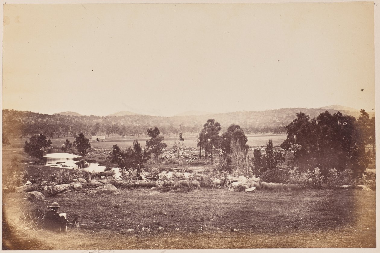 Rangers Valley, North East, Glen Innes by Unknown artist
