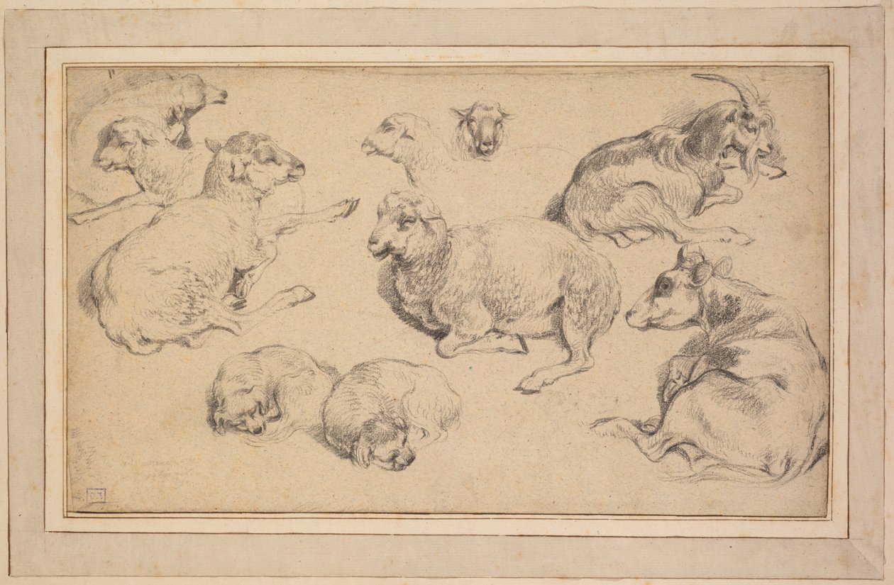 Sheet of Studies with Sheep, Goats, and Dogs by Unknown artist