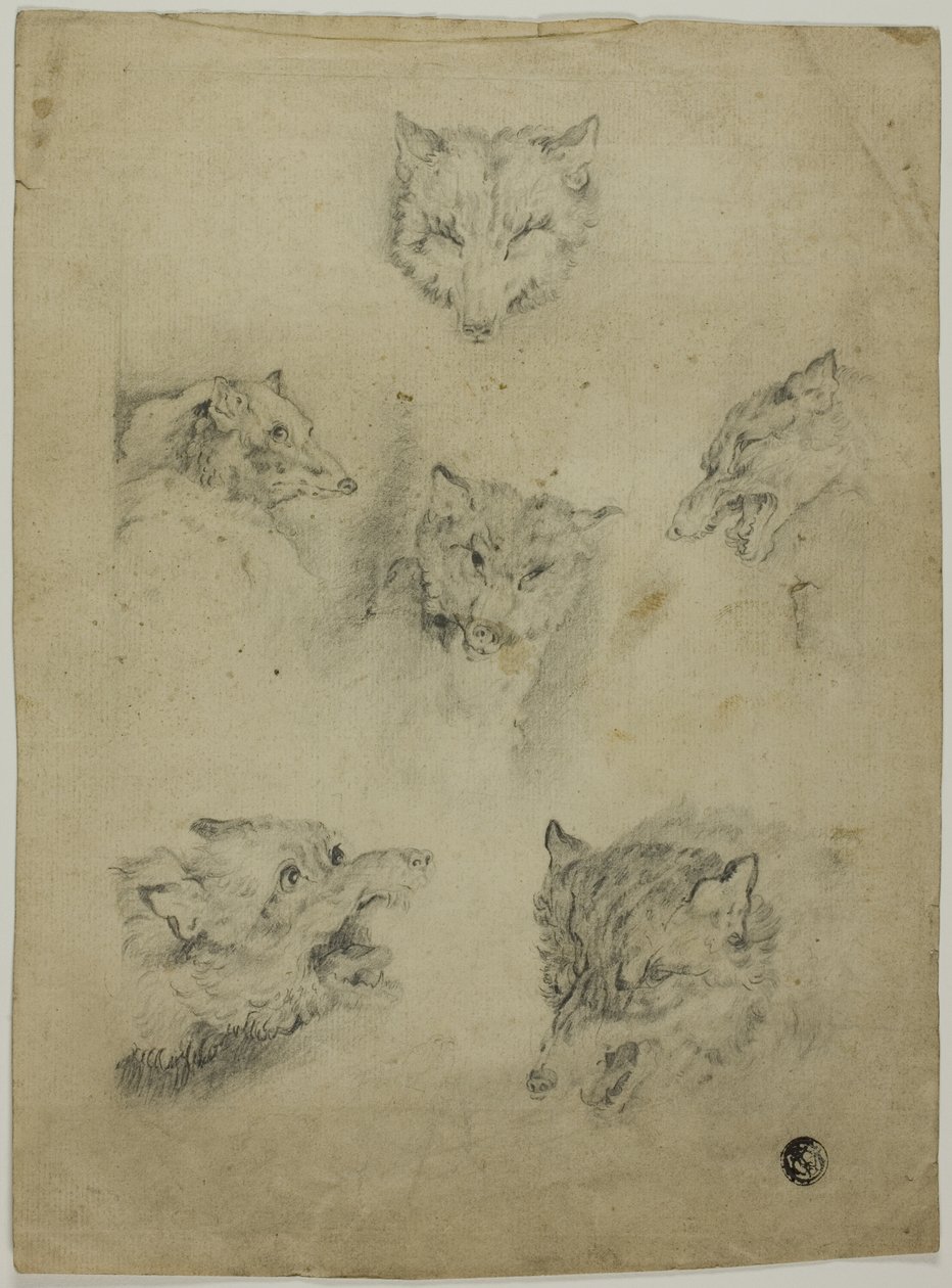 Six Sketches of Wolf Heads by Unknown artist