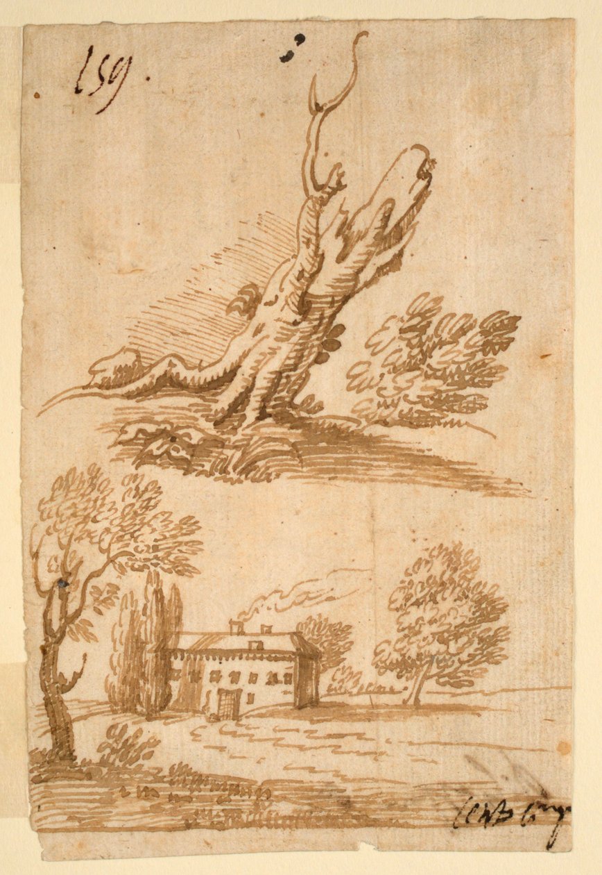 Sketches of a Villa and Tree by Unknown artist