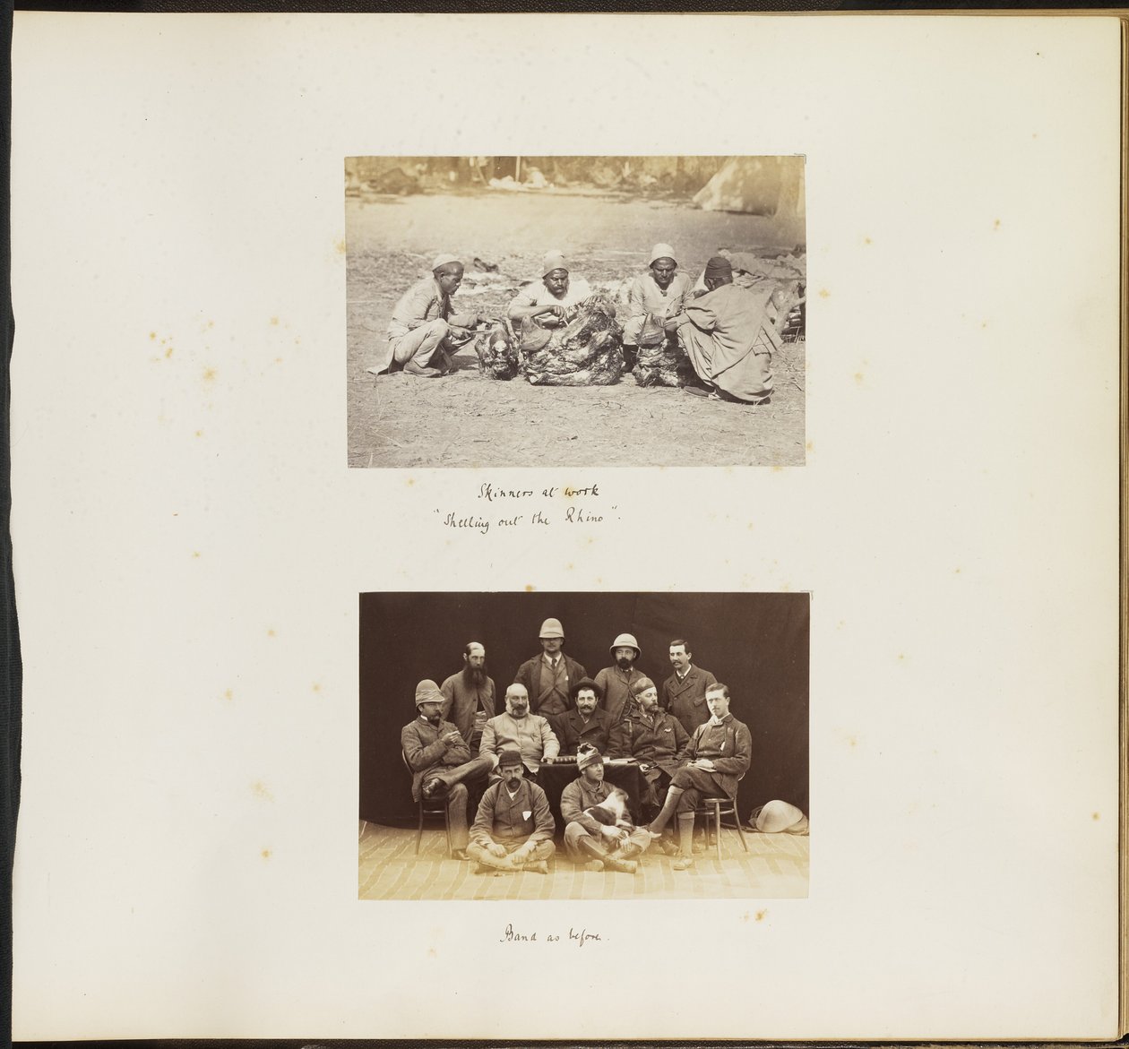Skinners at Work, Shelling Out the Rhino by Unknown artist
