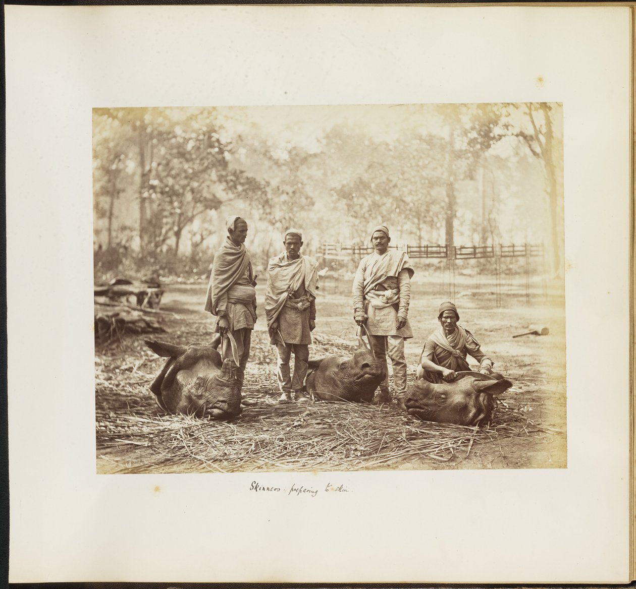 Skinners Preparing to Skin by Unknown artist