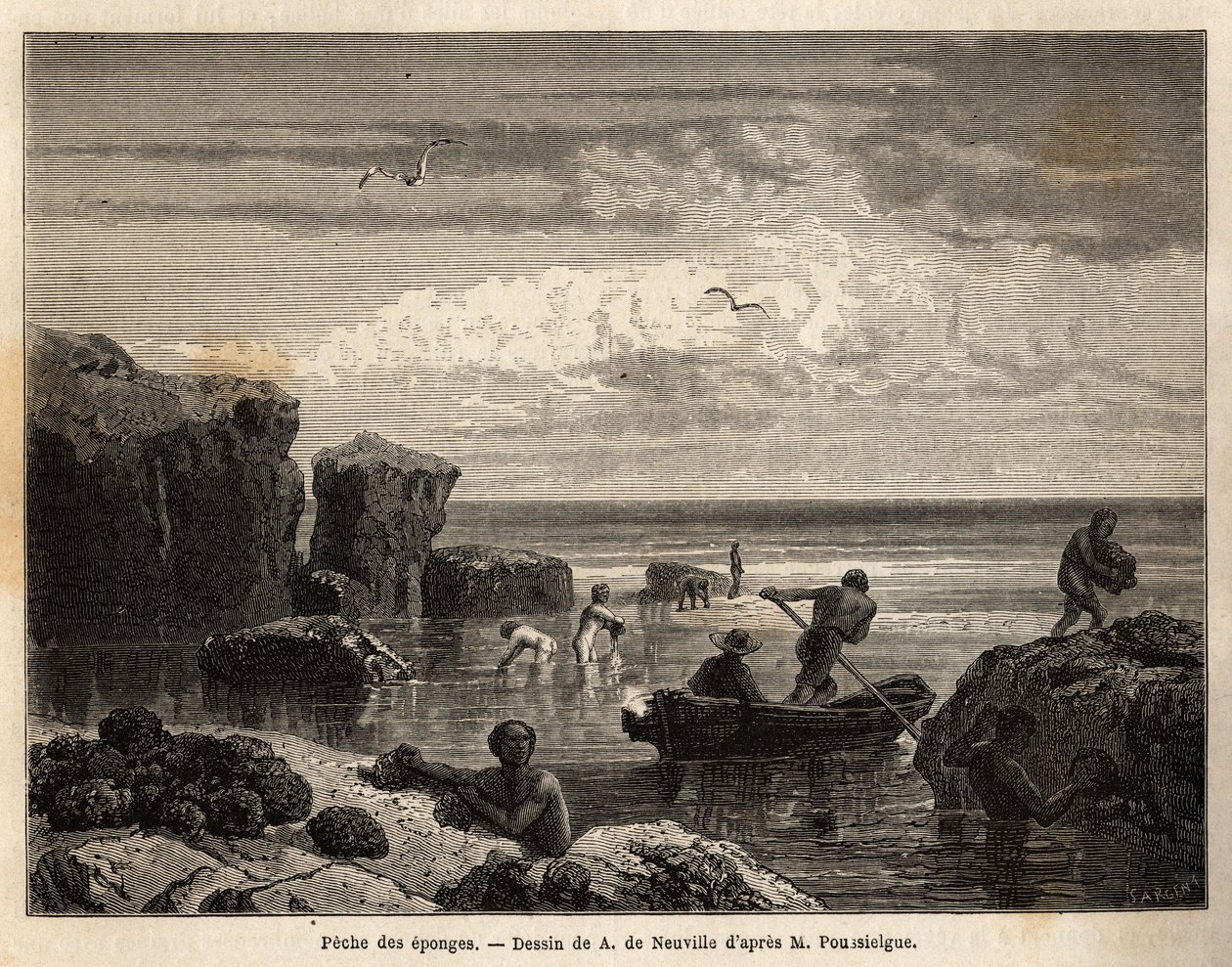 Sponge fishing by the Islanders of Anastasia Island by Unknown artist