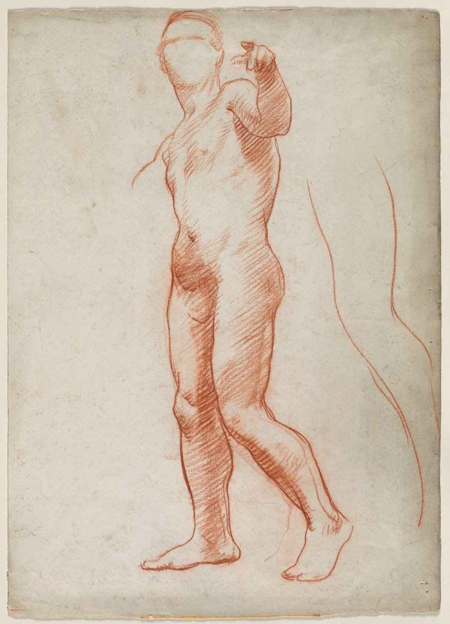 Standing Male Nude by Unknown artist