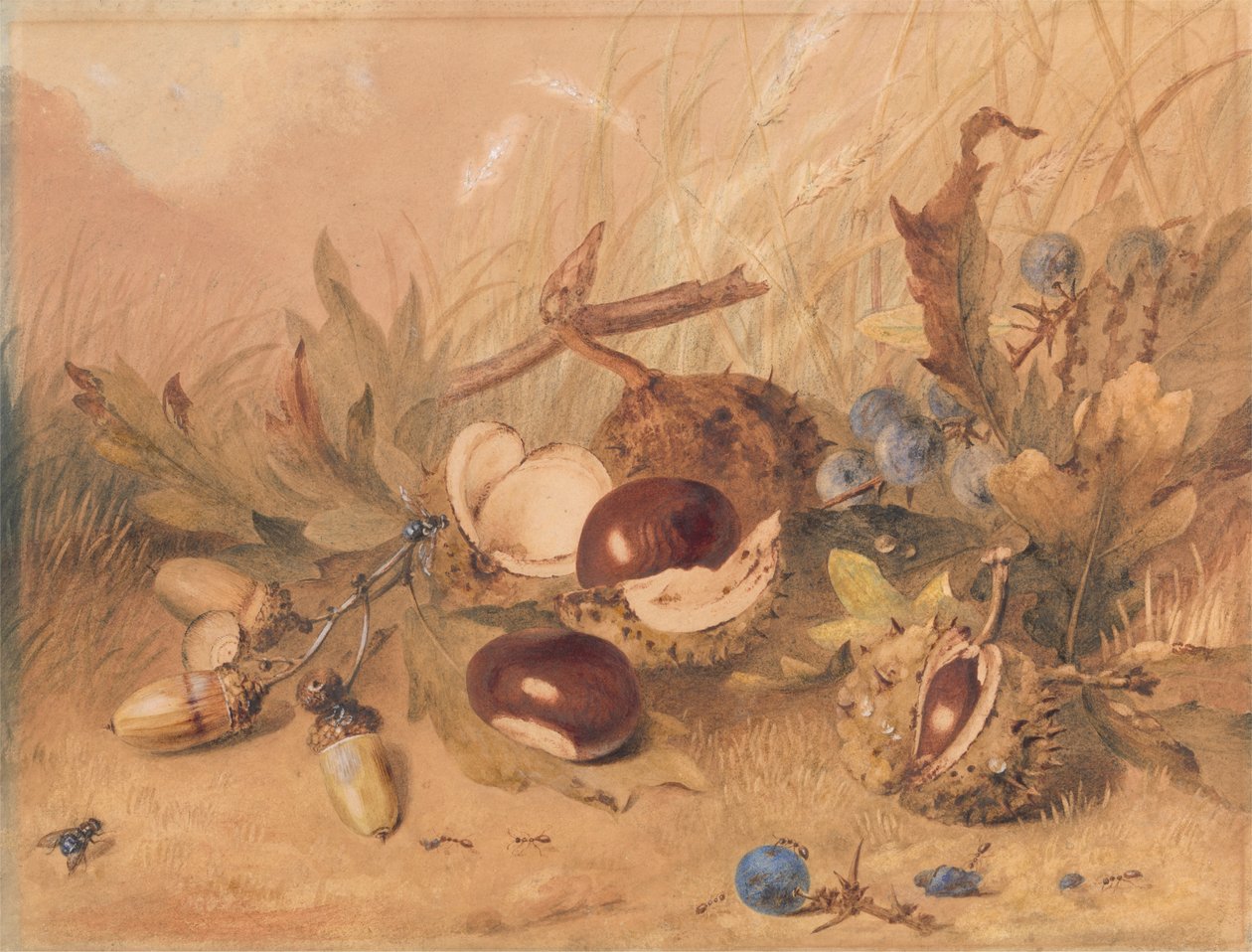 Still Life with Acorns and Horse Chestnuts by Unknown artist