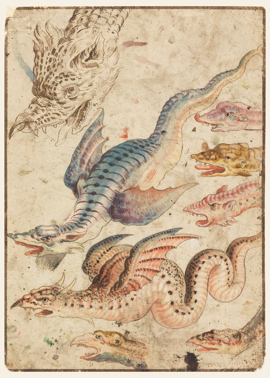 Studies of a Dragon by Unknown artist