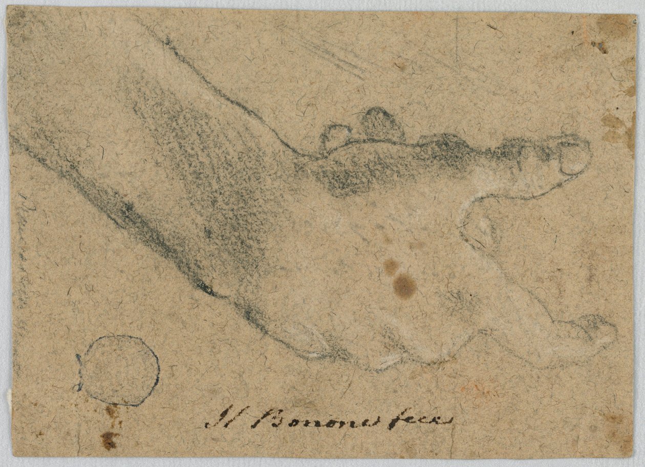 Study: A Right Hand by Unknown artist