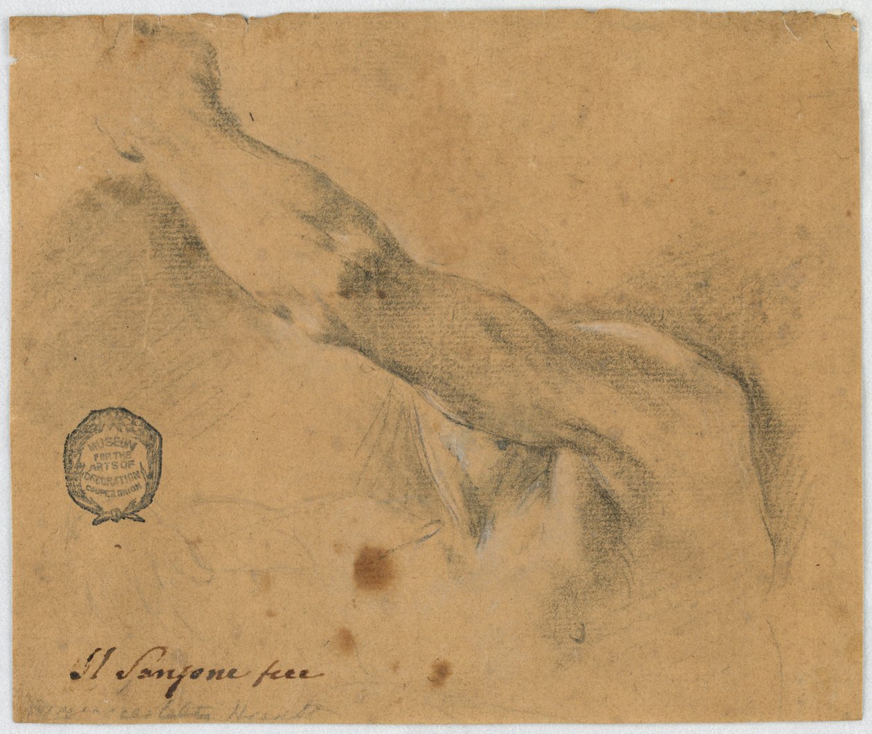 Study: The Left Arm and the Neighboring Parts of the Body of an Elderly Man by Unknown artist