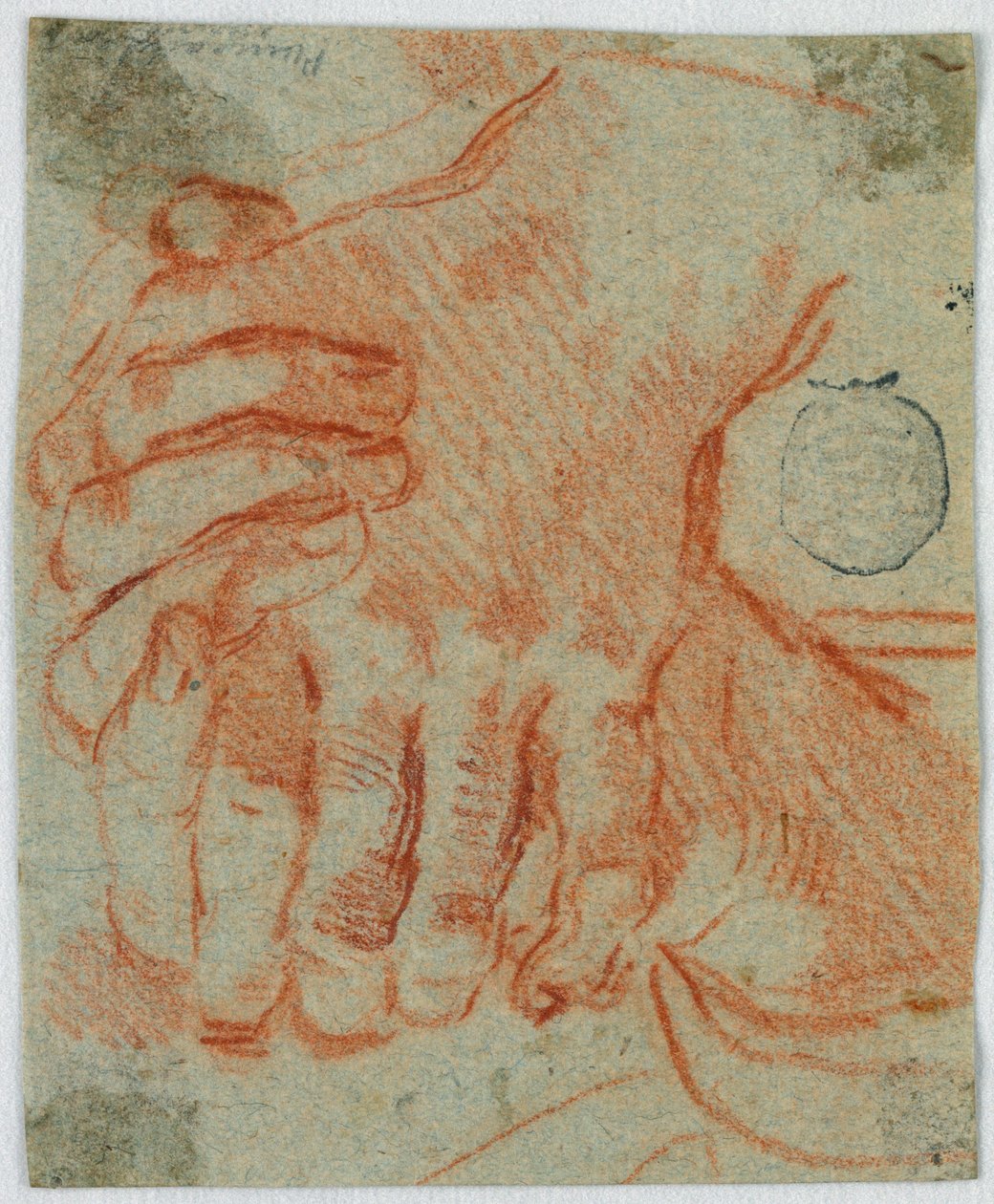 Study of the Closed Hands of a Woman by Unknown artist