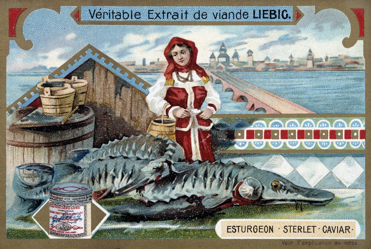 Sturgeon, sterlet, caviar, with a young woman holding buckets, in front of a Russian town - Liebig chromolithography by Unknown artist