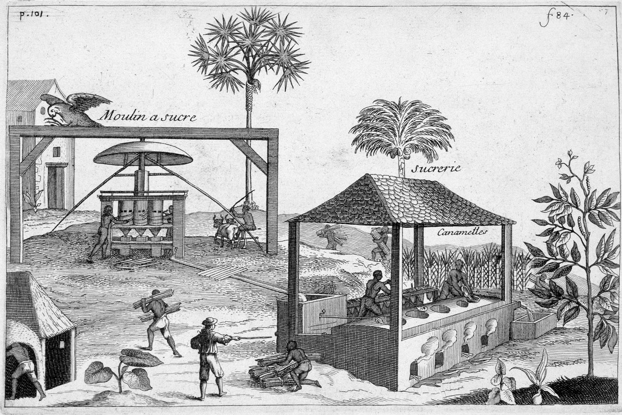 Sugar manufacturing: Sugar mill and sugar mill - in 
