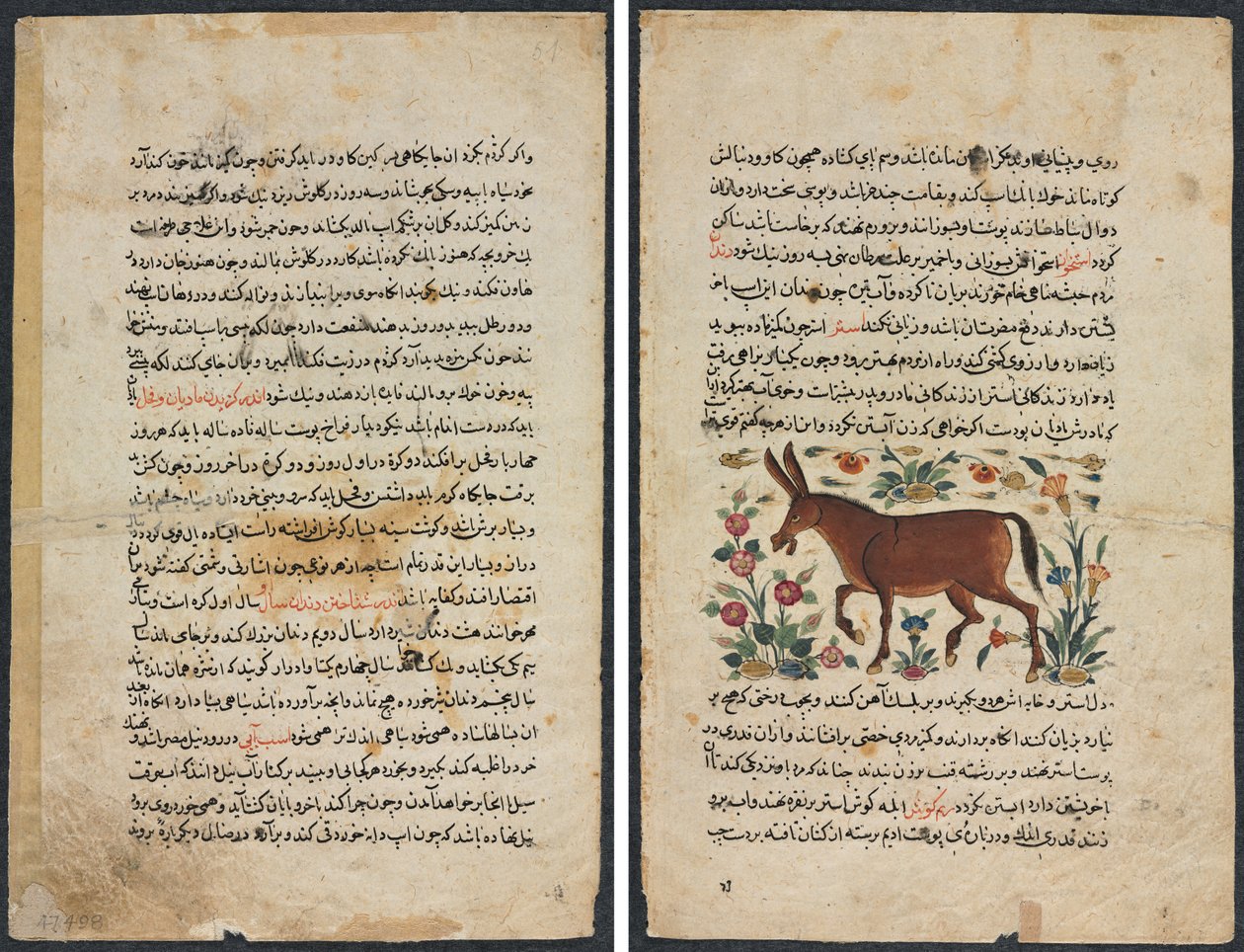 Text Page, Persian Prose (Recto); Khar (Ass) (Verso) by Unknown artist